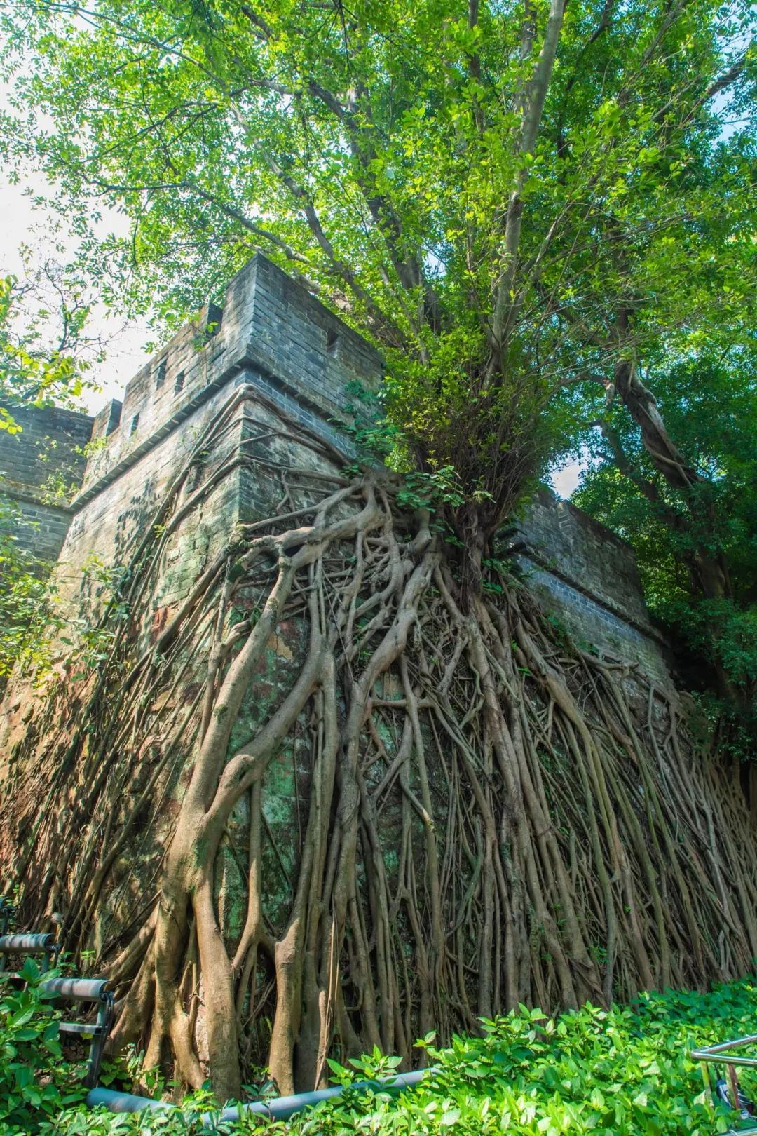 广州花都公园景点地图 (花都旅游景点分布图高清版)