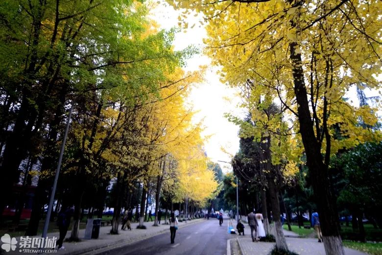 漫漫装修路，比邻有缘人（第二部分）