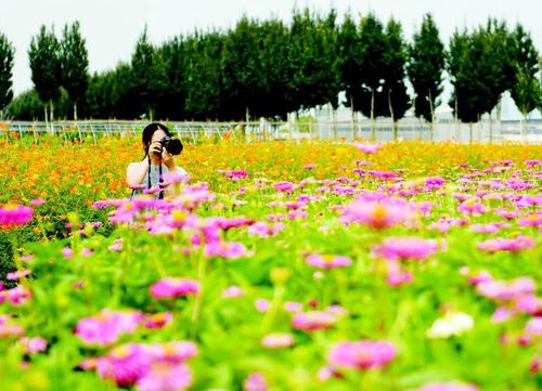 太原一村是小店区南大门，村名由两姓组成，一项工艺列入非遗名单