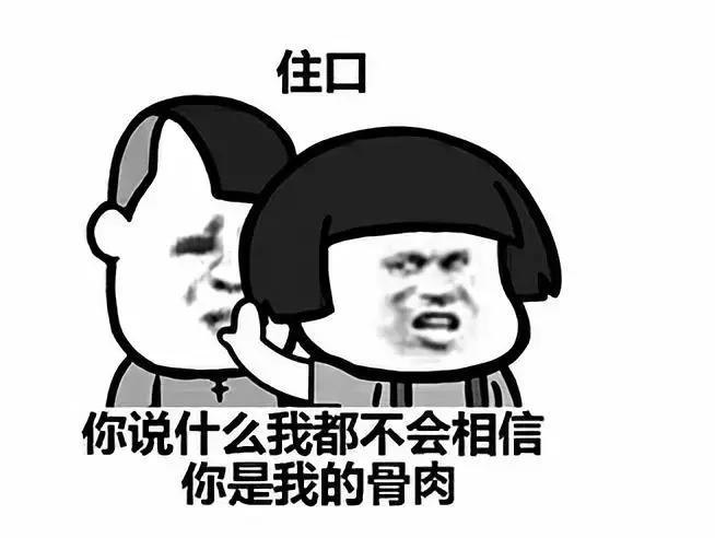 「论坛」小区里面的25个养狗的人，开会讨论zezeze