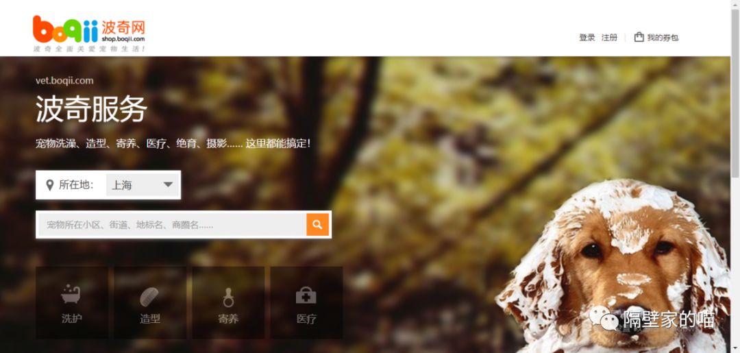 波奇网在宠物行业怎么样,波奇网上的宠物电商