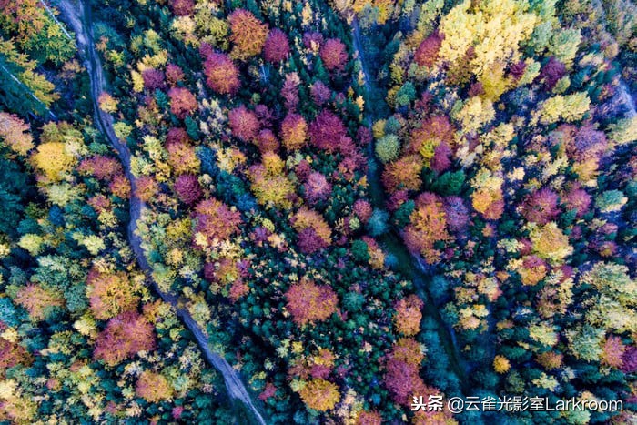 十个无人机拍摄的惊人画面,世界上最好的无人机1500米