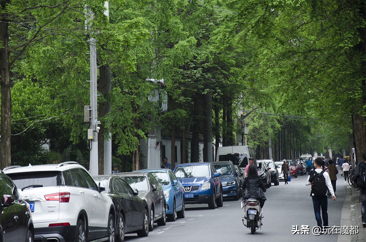 上海的这条路,魔都的街上的小姐姐