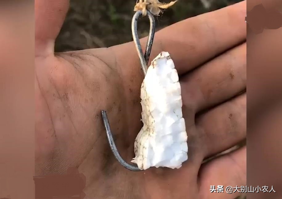 钩子挂泡沫钓鱼,泡沫挂钩能钓鱼吗