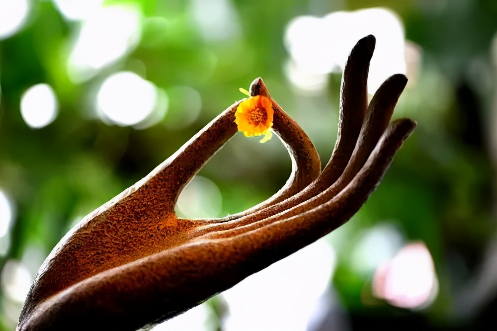 老僧的点醒：感觉生活不如人意时，建议去这3个地方看看