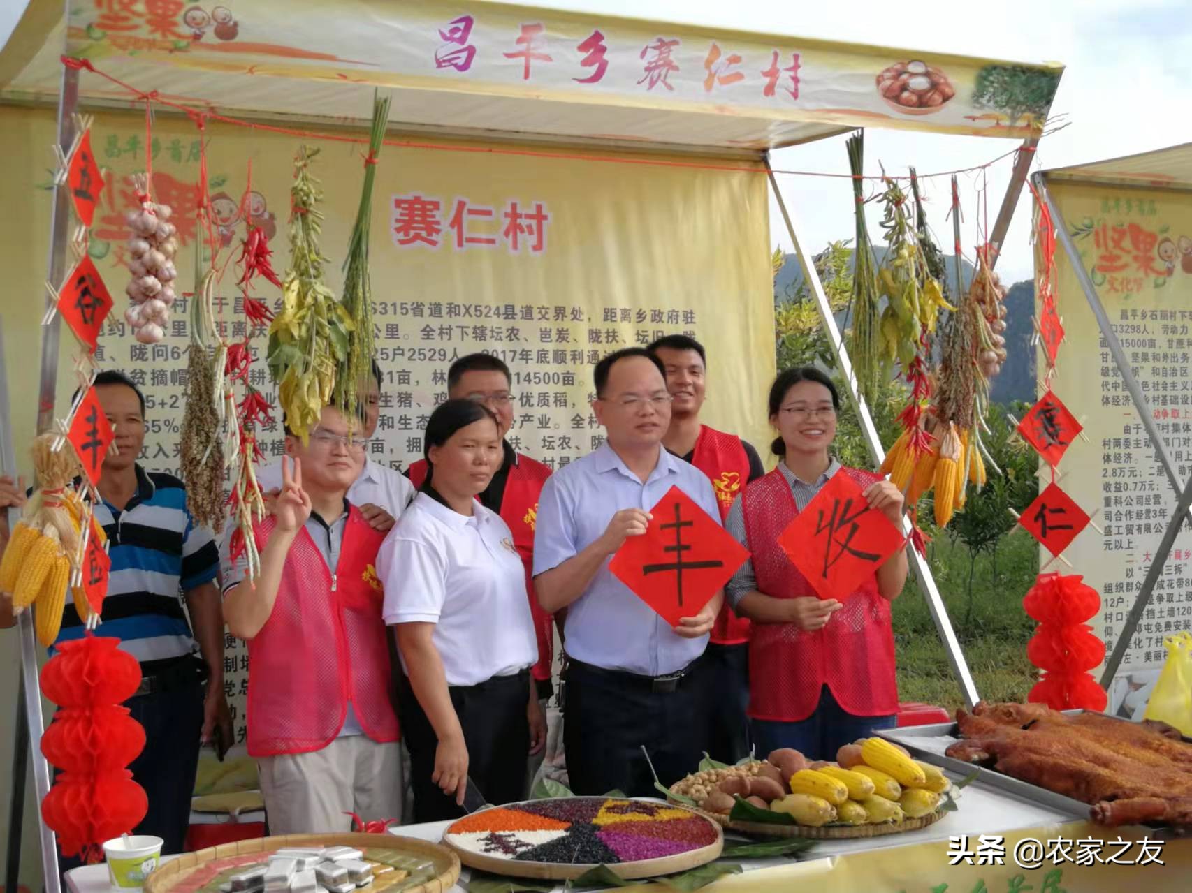 扶绥县昌平坚果苗,扶绥昌平坚果种植基地