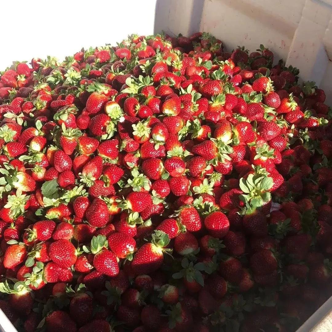 到澳洲打工一年挣三四十万靠谱吗,去澳洲打工一年能赚多少钱