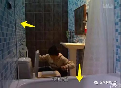 家有儿女刘星家到底是多有钱,家有儿女刘星家究竟多有钱