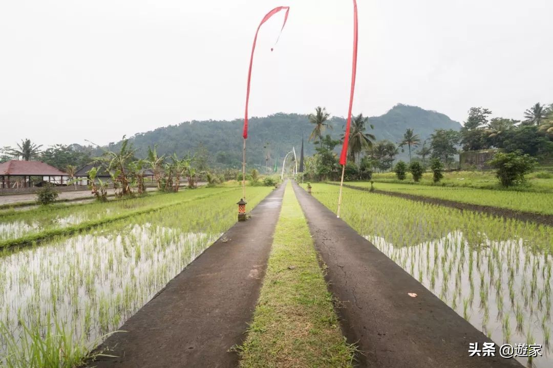 巴厘岛1000元酒店推荐,巴厘岛十大酒店顶奢