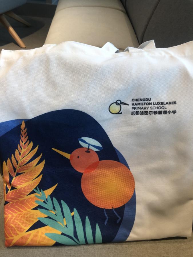 成都天府新区网红学校,实地探访成都最牛小学