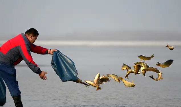 如何正确半水调漂,新手什么是半水调漂不带钩