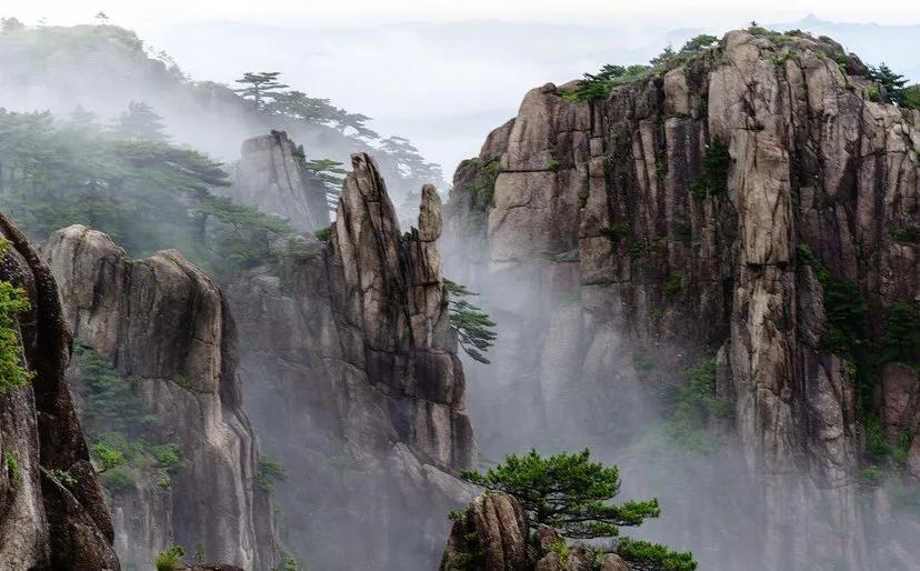 老子第四十八章感悟50字,老子18章感悟心得