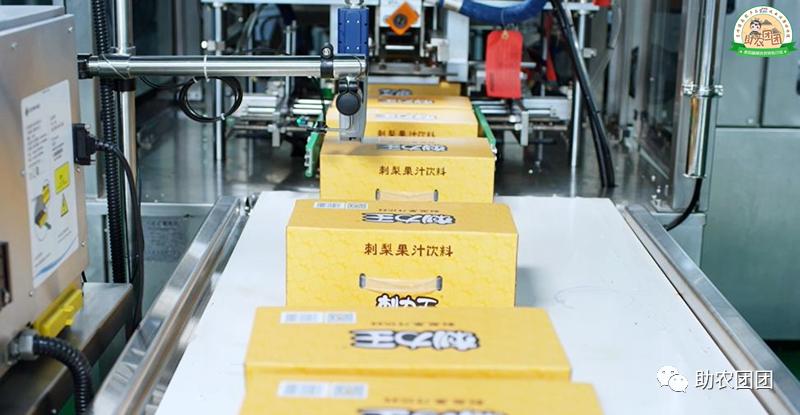 助农团团花溪直播,刺梨原汁精品