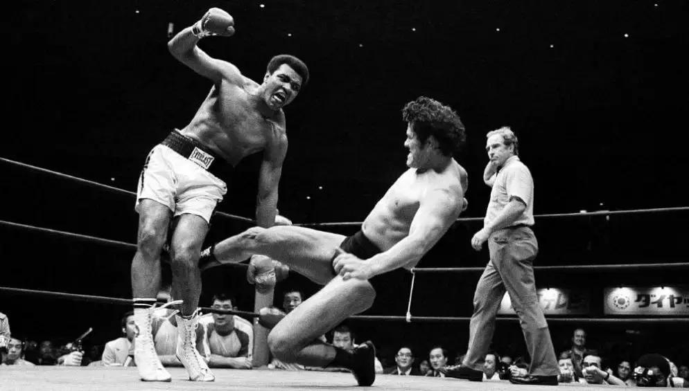 wwe打斯瓦辛格,施瓦辛格客串wwe摔角狂热完整版