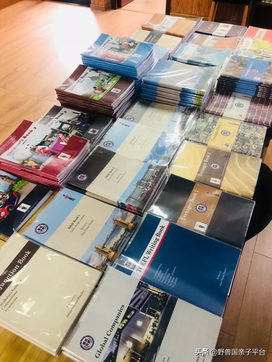 把意大利的足球理念带到中国,把意大利先进的足球理念带到中国