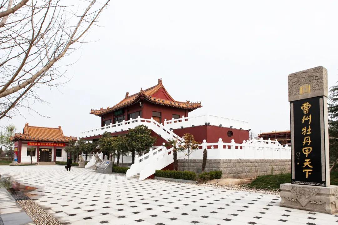 山东8个网红城市,山东比较名气大的网红