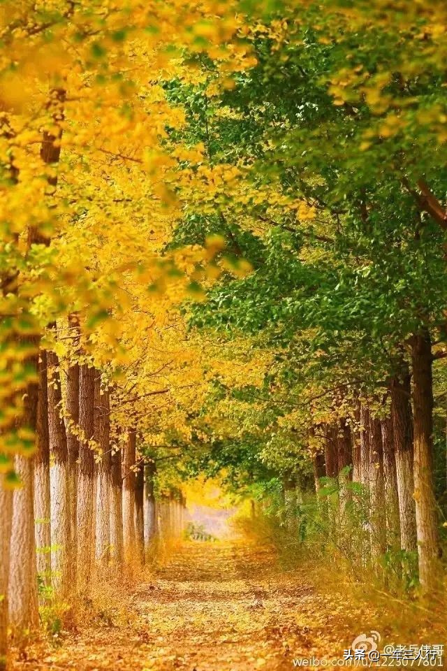 大连有一个蓝色的小城堡景点,大连秋季旅游景点攻略大全