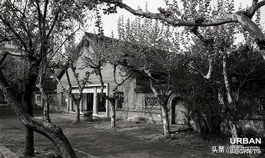 杭州文教区如果不写杭师大，那和一条失去梦想的咸鱼有啥区别