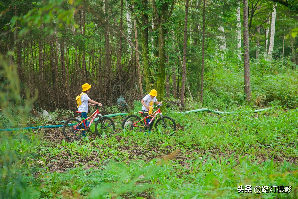 伊春杨溪谷,伊春养溪谷景区