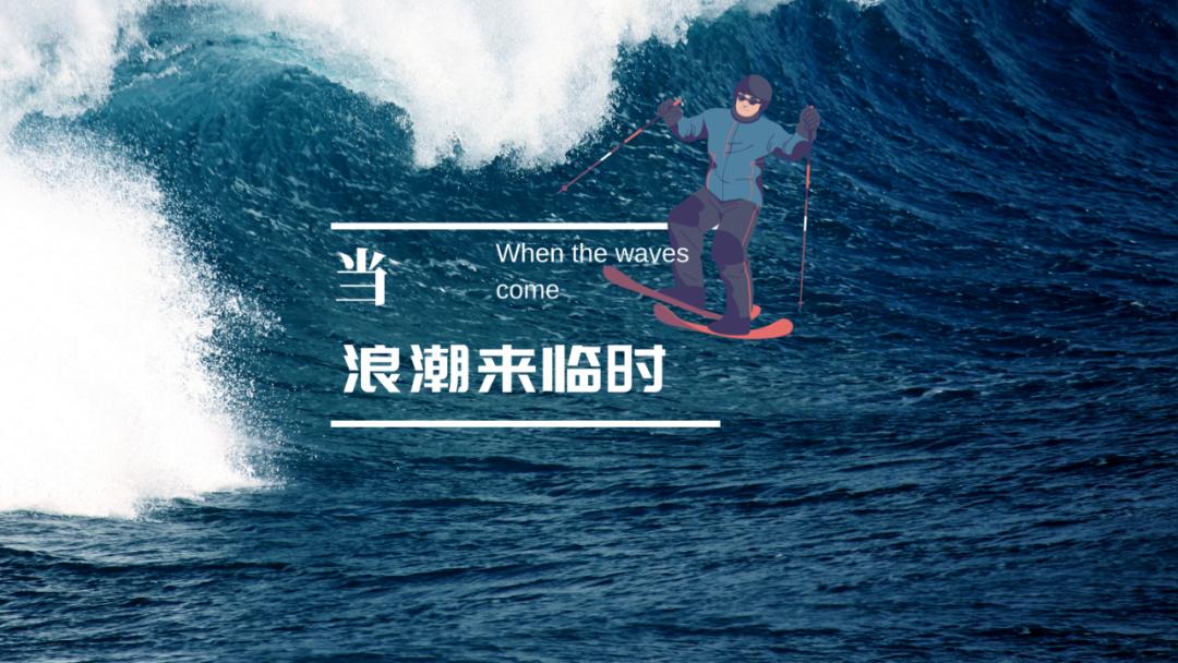 2019年光伏企业财报分析（上）：电池组件、硅料硅片及逆变器篇