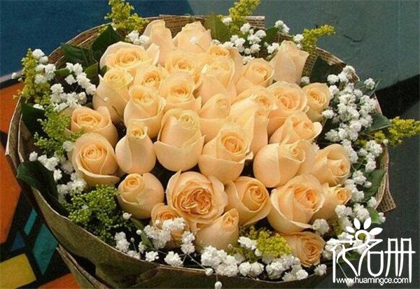 送9种不同颜色的玫瑰花代表什么,求爱玫瑰花应该送多少朵合适