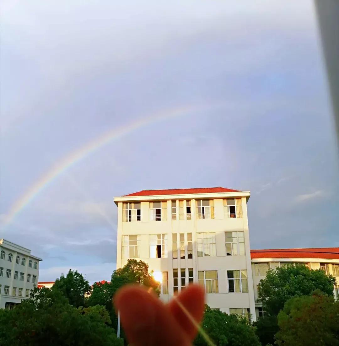 安徽文达学院信息工程学院官网,安徽33所高校预估分数线