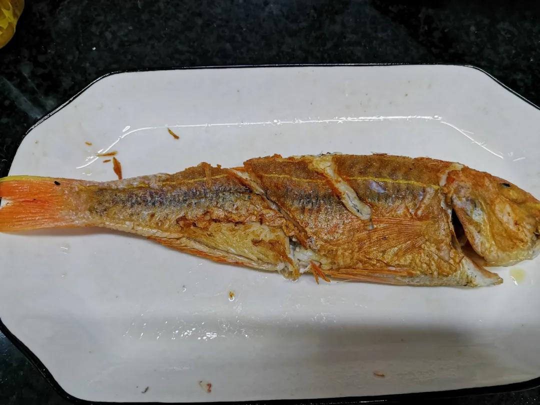 开海季都有什么海鲜,开海了这些生猛海鲜