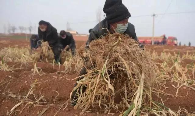 如果疫情再下去你能熬多久,假如疫情不退你们能坚持多久