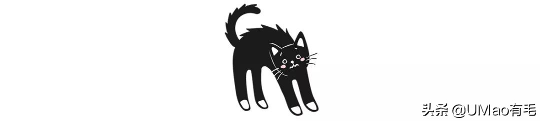 关于弓形虫你所不知道的一切,被弓形虫刷屏的视频