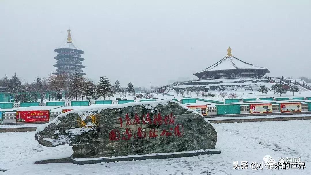 河南洛阳发布最新通知,洛阳牡丹花会向全世界发出邀请