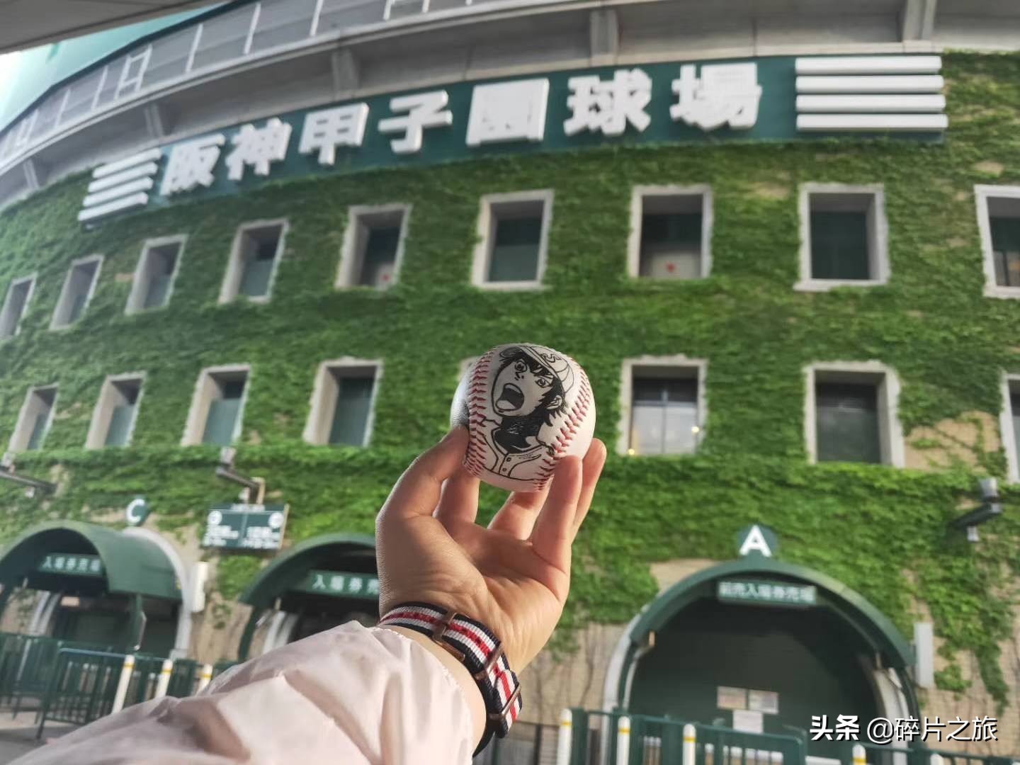 乘风破浪的姐们-上海日本豪华游轮六天五夜游攻略