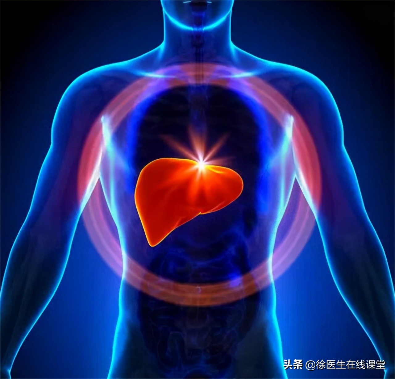 乙肝转氨酶高先保肝还是先抗病毒,乙肝抗病毒后还要吃护肝药吗