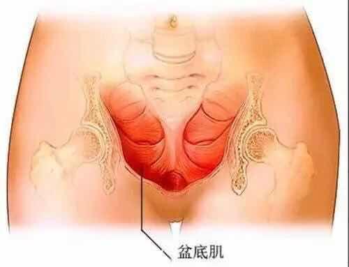 不管顺产还是剖腹产孩子健康,专家说剖腹产坐月子谨记10件事