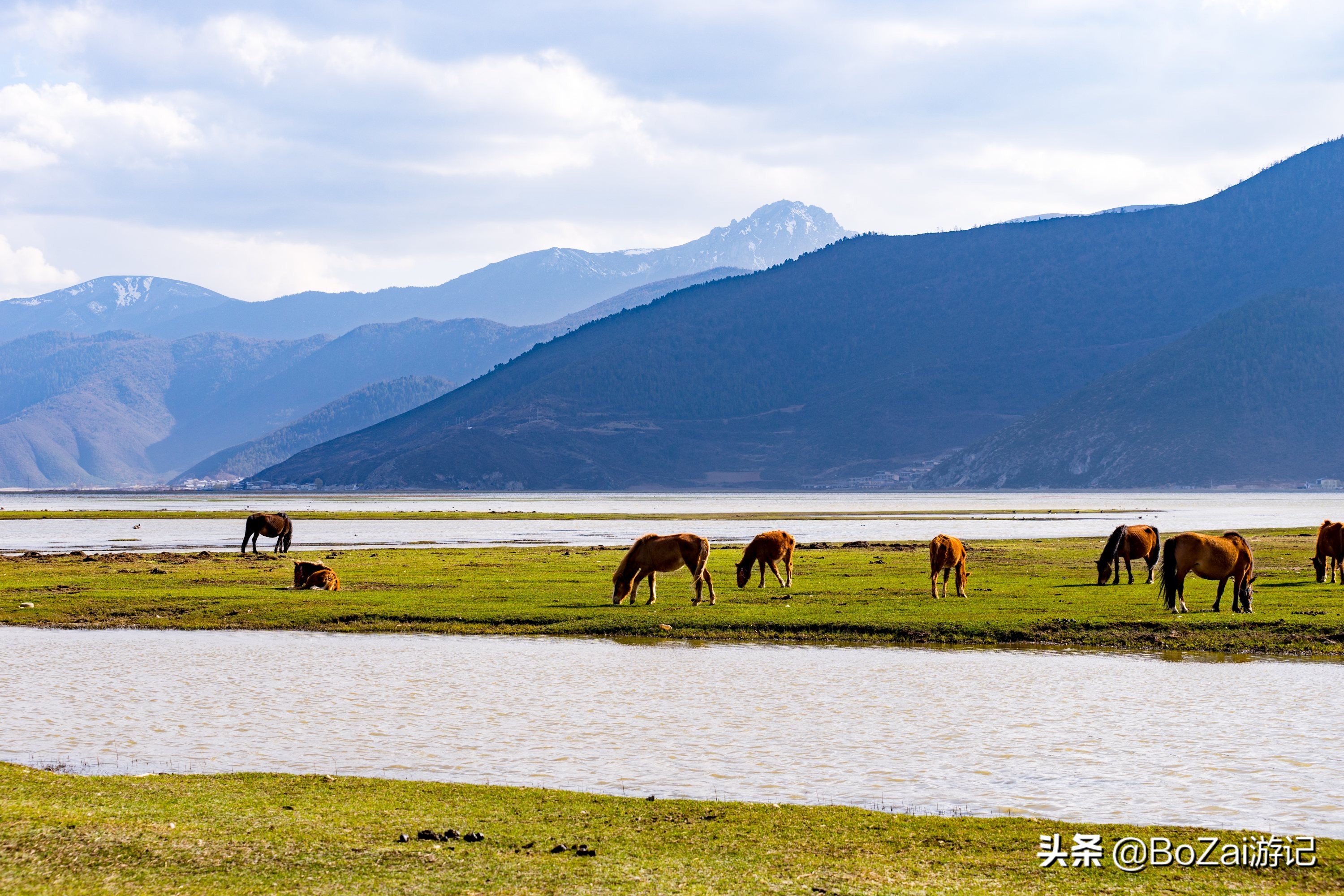 云南迪庆有哪些旅游景点,迪庆最值得去的景点有哪些地方