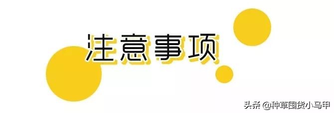 一招教你识别假代购,美国直邮代购是真是假