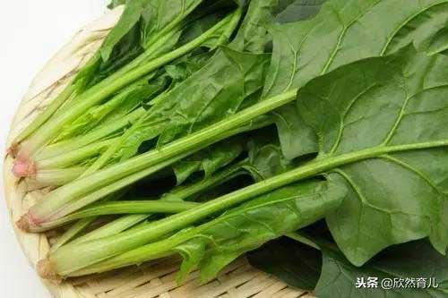 怀孕期间这七种蔬菜不要乱吃,怀孕期间的蔬菜孕妈最好忌口