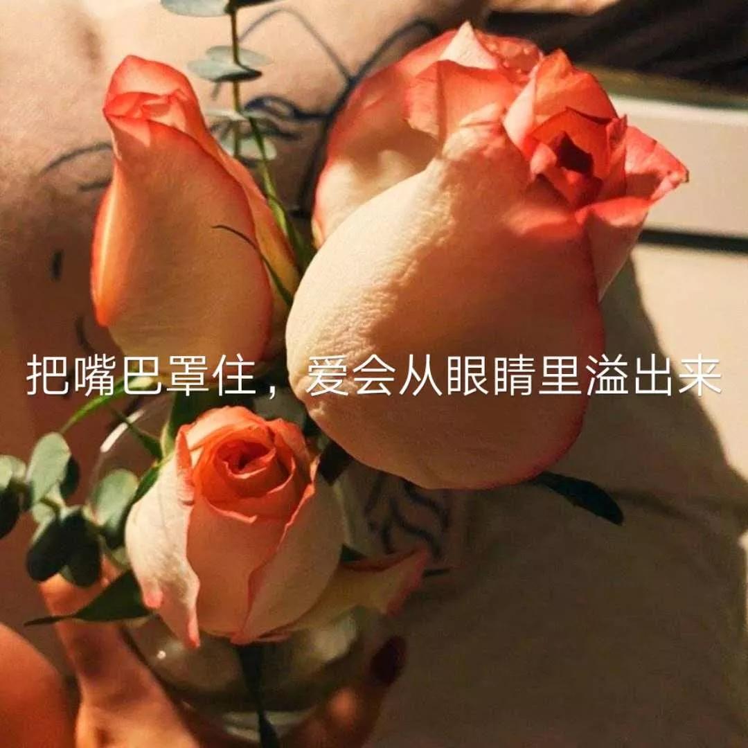 疫线浪漫故事,战疫中的爱情故事深度评析