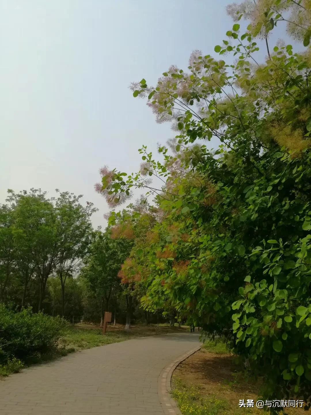 北京的天元公园是哪,北京天元公园视频