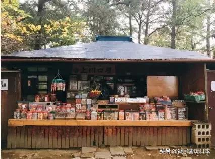 坐火车去早稻田来场复古东京之旅，都电荒川线一日券玩法大攻略