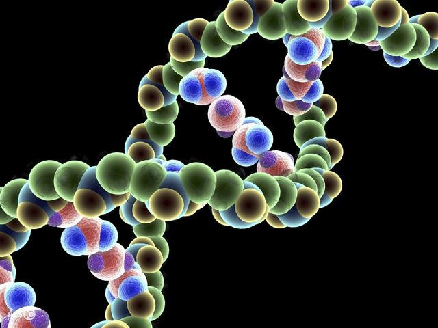 泰迪犬为什么会有泪痕,黑色泰迪犬胸前有白毛是怎么回事