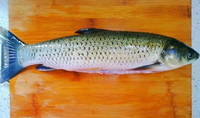 红烧鱼的正确做法这样做出来开胃,教你红烧鱼块的家常做法步骤清晰