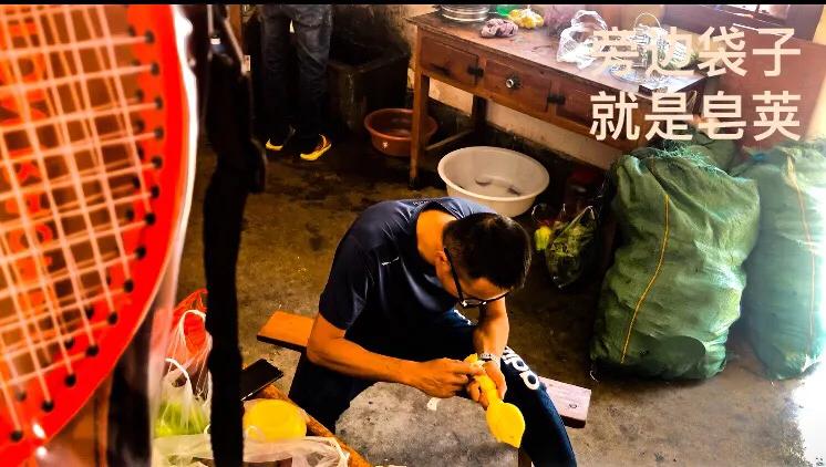 织金皂角米,单荚皂角米