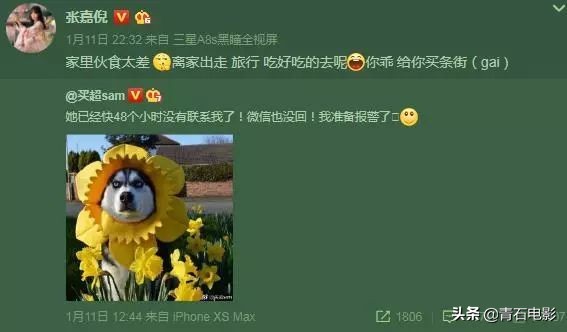 张嘉倪小家子气,张嘉倪不合群