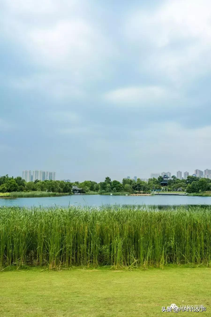 汉口夏天,汉口夏日