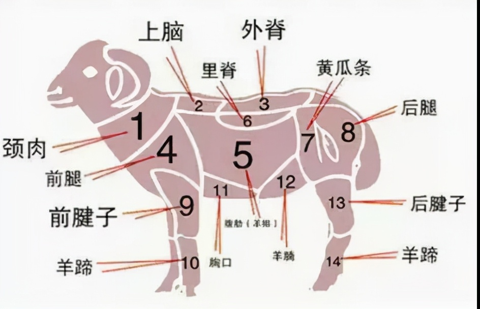 立冬吃饺子哪七个馅儿,立冬吃瓜馅儿饺子的寓意