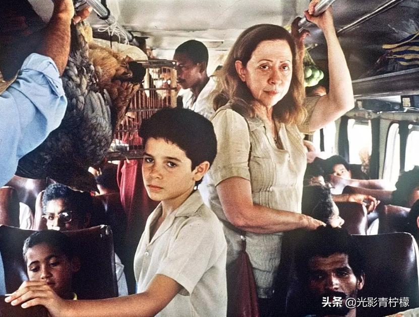 亲情和良知,亲情的根本是良知和利益