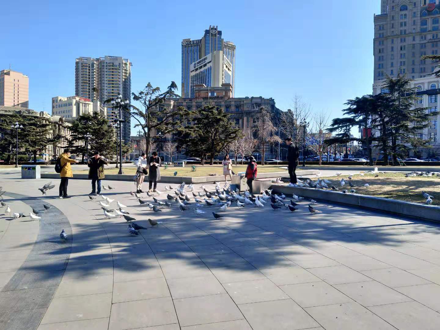 大连中山广场景观组成,大连中山广场十大历史建筑