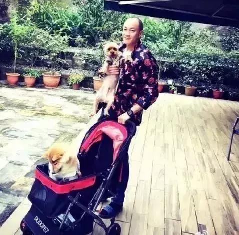 港台男星今昔颜值对比,港台男星颜值巅峰今昔对比