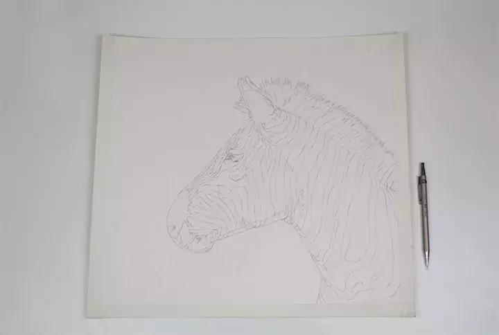 小央美钢笔画视频,极品五大钢笔画简直美爆