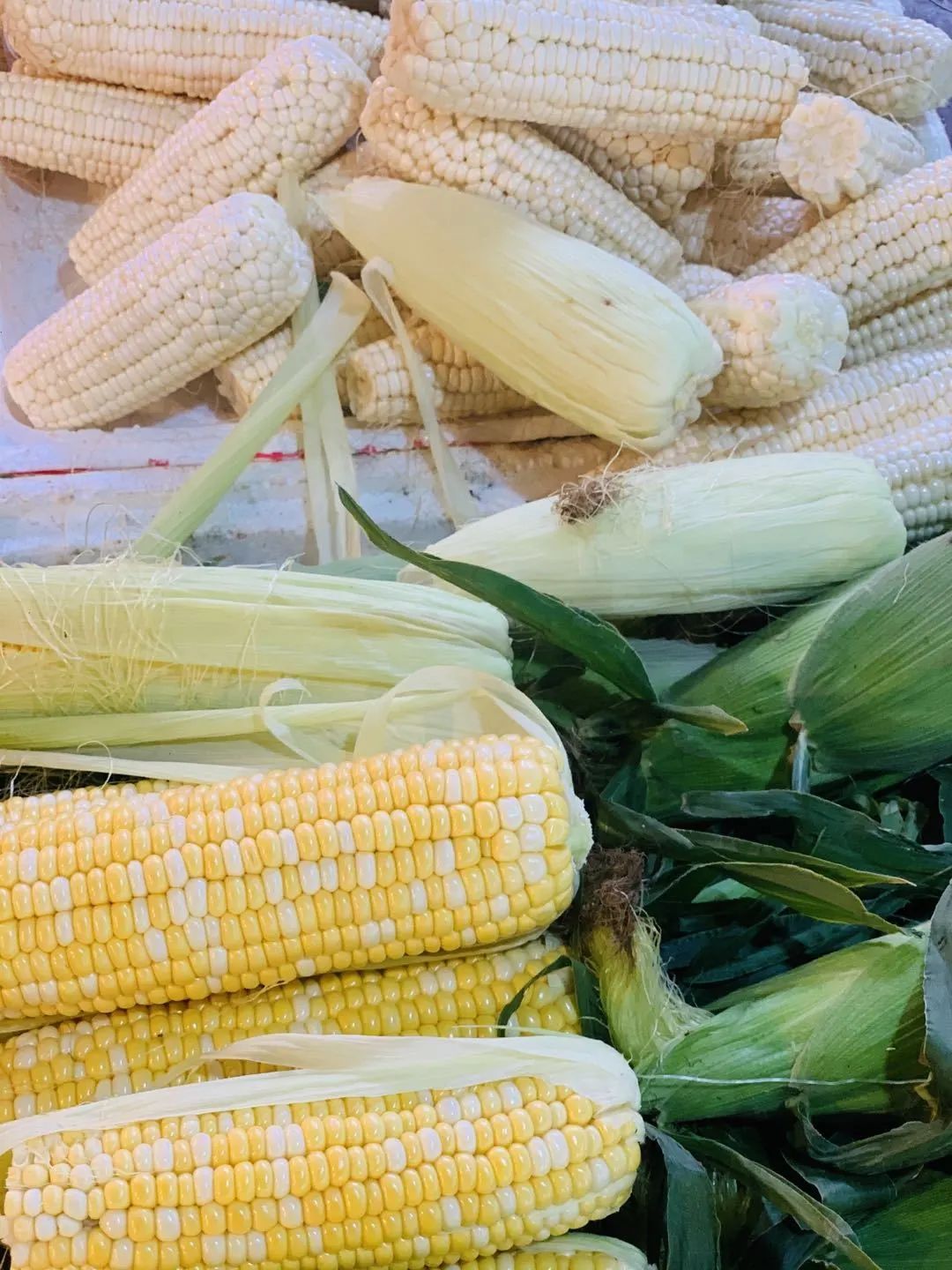 静远路便民服务中心在哪里,锦江区静远路便民服务中心